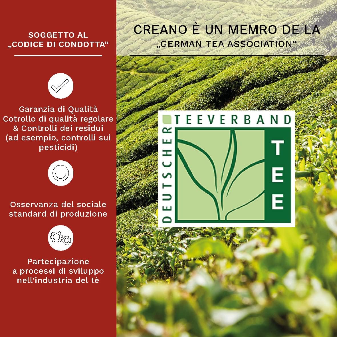 Thumbnail 4 de Creano Mix Fiori di Tè Set Regalo 6 fiori 🍵