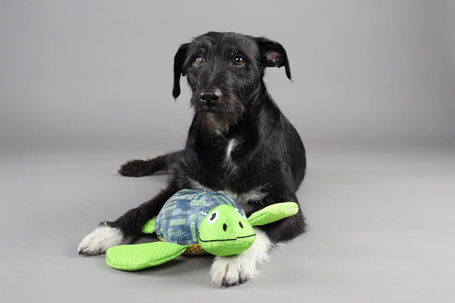 Thumbnail 3 de Flamingo SIWI Schildkröte Grün: schwimmendes Textil-Spielzeug mit Sound & Knistereffekt