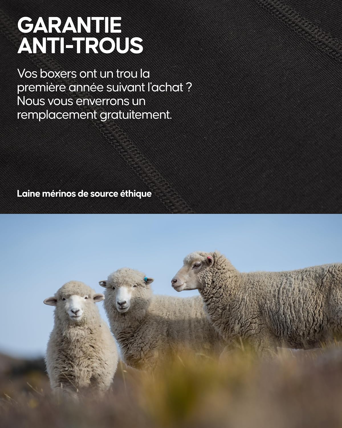 Thumbnail 4 de DANISH ENDURANCE Boxer Merinos 42% laine