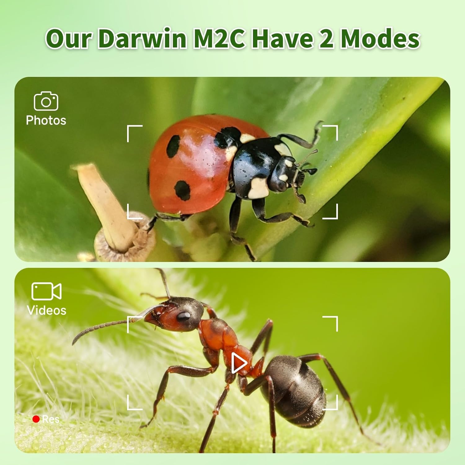 Detalle de BEAVERLAB Finder 4.0" Kids microscope 1600X
