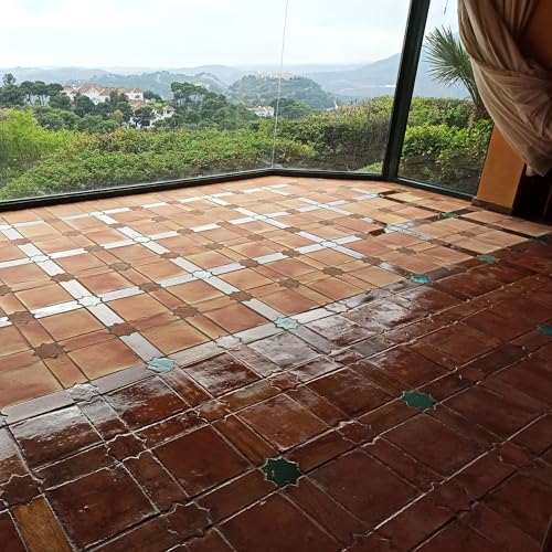 Thumbnail 4 de Monestir Aceite Terracotta brillo 5 L