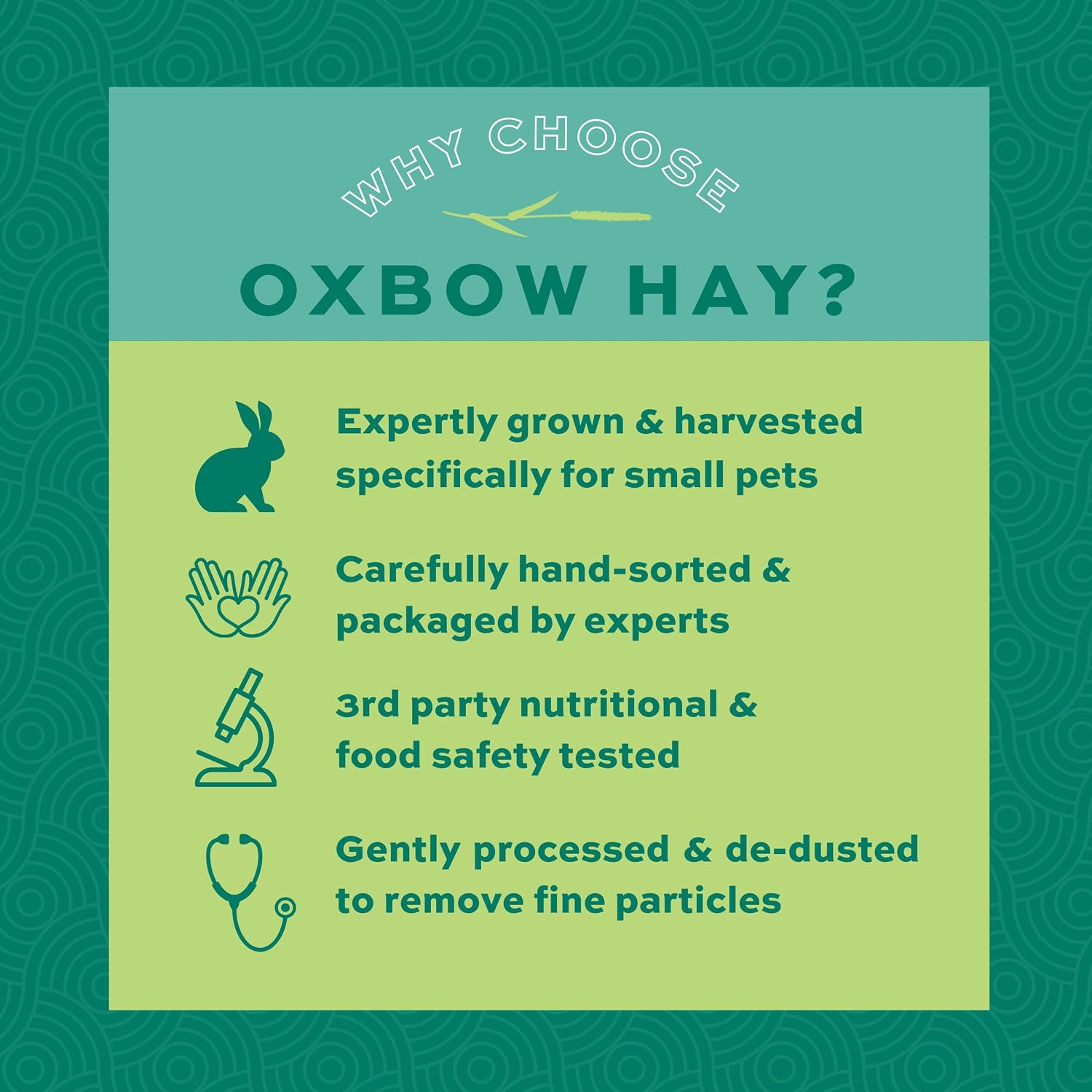 Detalle de Oxbow Orchard Grass Hay – siano z trawy Orchard Grass, 9 lbs