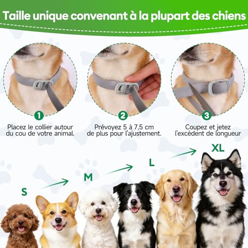 Detalle de Collar Antiparasitario para Perros GlowPoint — Pack de 2, ajustable 65 cm y resistente al agua