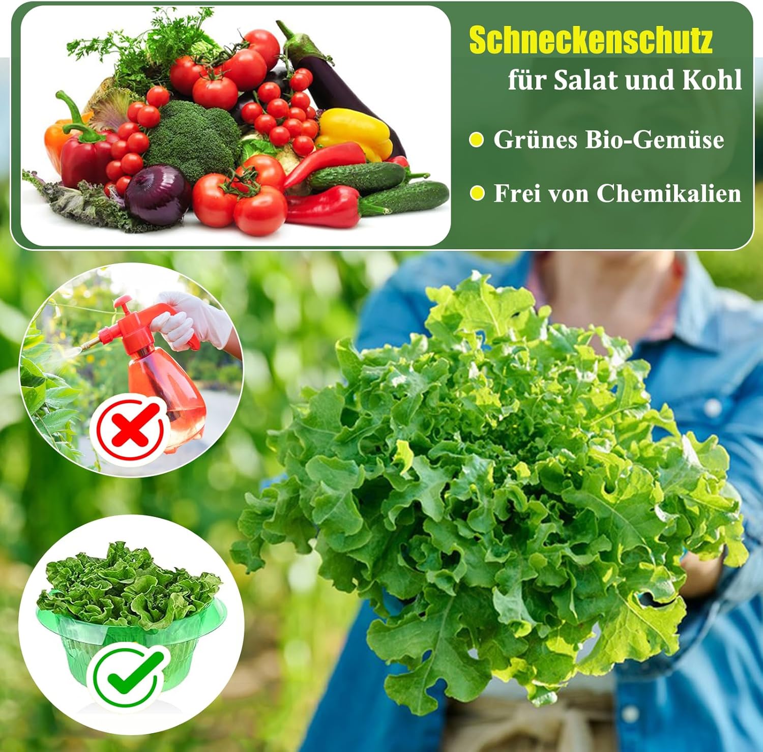 Thumbnail 4 de CYYMNA Lot de 12 collerettes anti-limaces : protection sans produits chimiques pour vos plantes