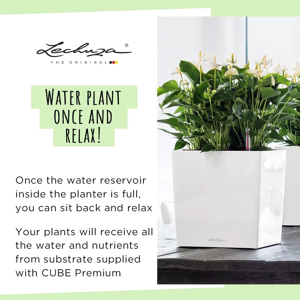 Thumbnail 5 de LECHUZA CUBE Premium 50 anthrazit metallic