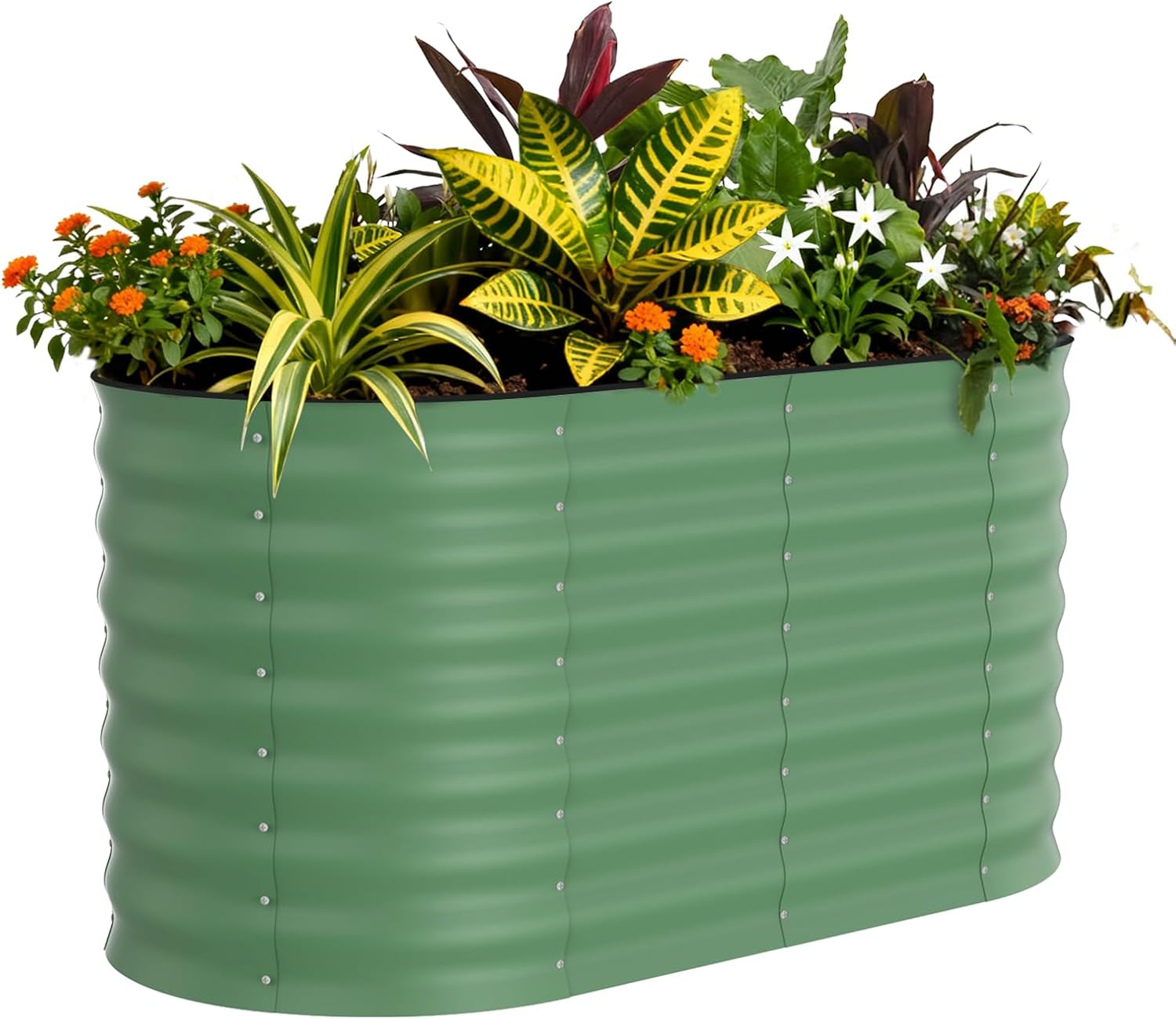 Detalle de Garvee yJ8FkF3Sip0IKqiJL7MaGg 4x2x2ft Oval Galvanized Raised Garden Bed