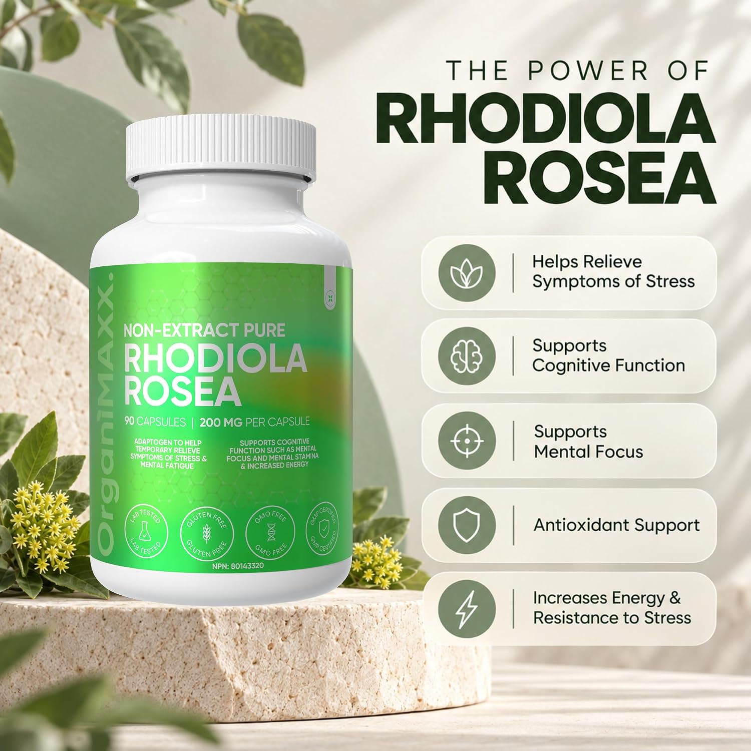 Detalle 2 de OrganiMAXX. Rhodiola Rosea 200 mg Capsules, Non-Extract, 90 Count