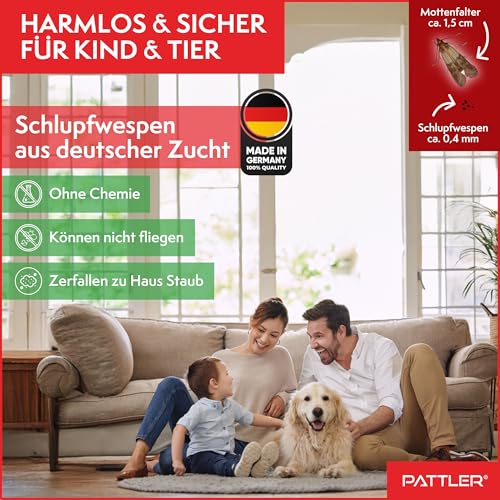 Thumbnail 6 de PATTLER Schlupfwespen gegen Lebensmittelmotten – 6 Karten à 1 Lieferung