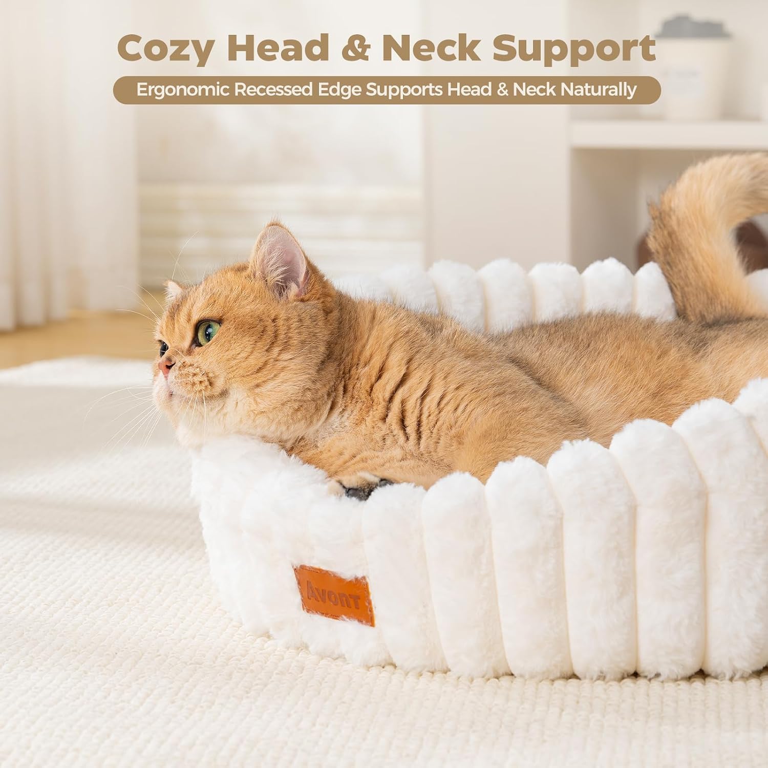 Detalle 2 de Avont Cat Bed for Indoor Cats – Fluffy Washable, Raised Rim and Non-Slip Base (S/M, Cream/Gray/Brown/Pink)