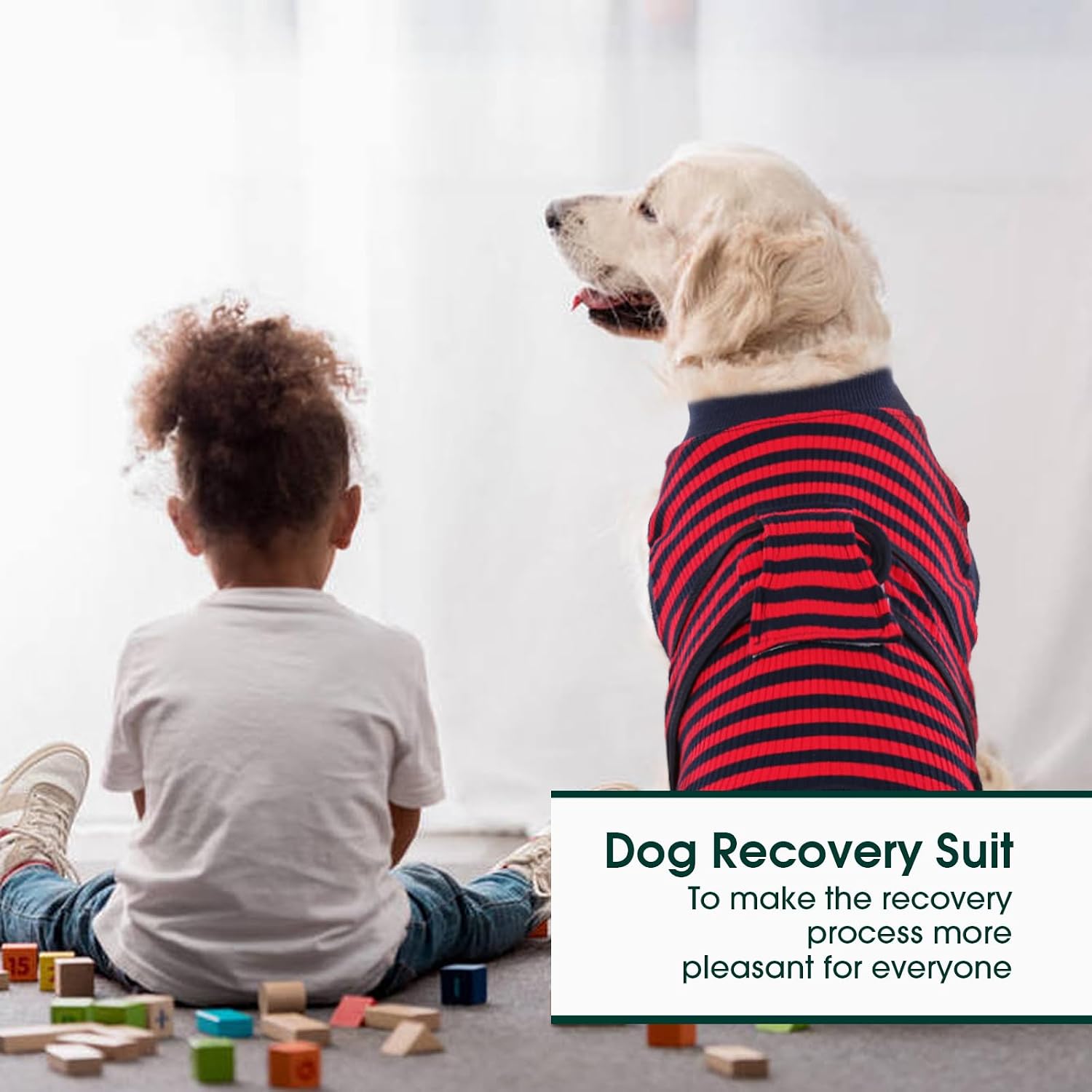 Thumbnail 4 de Kuoser Dog Surgery Recovery Suit (Red, M): Post-Op Comfort & Licking Prevention