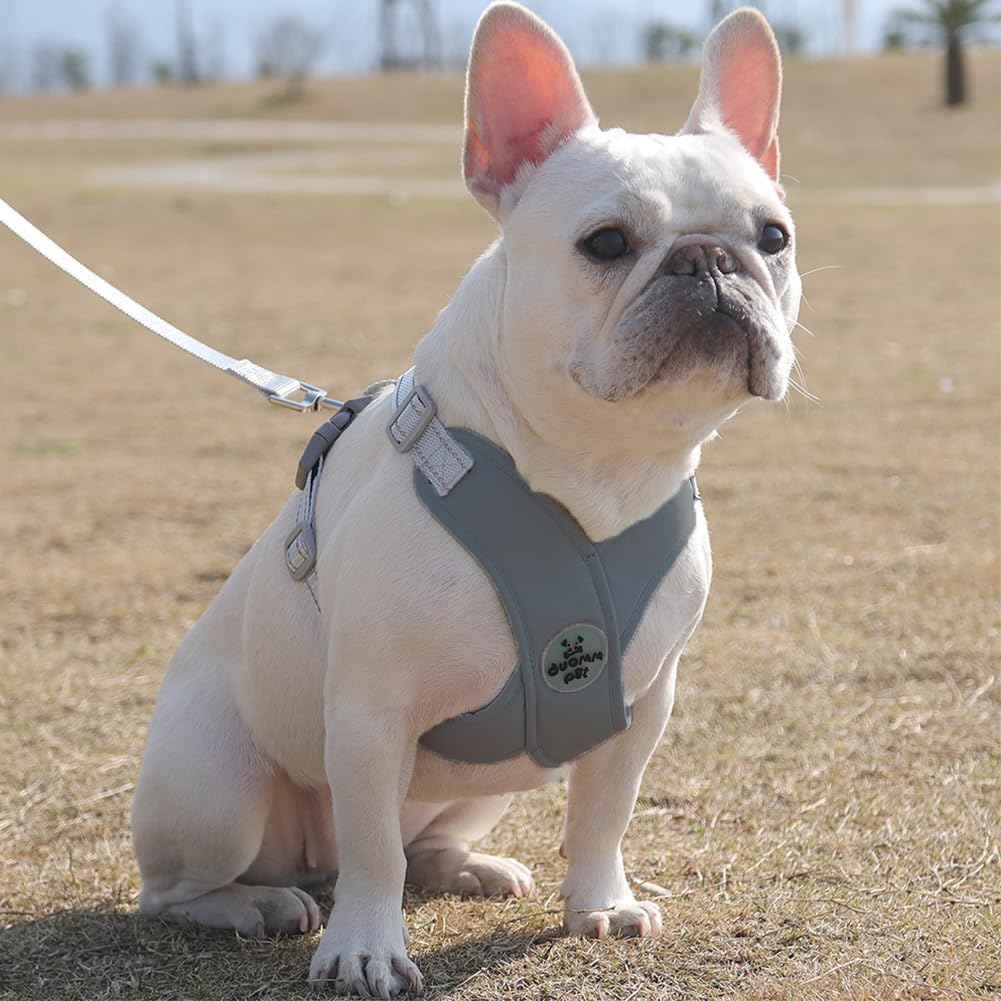 Thumbnail 6 de FEimaX No Pull Dog Harness and Lead Set for Small to Medium Dogs