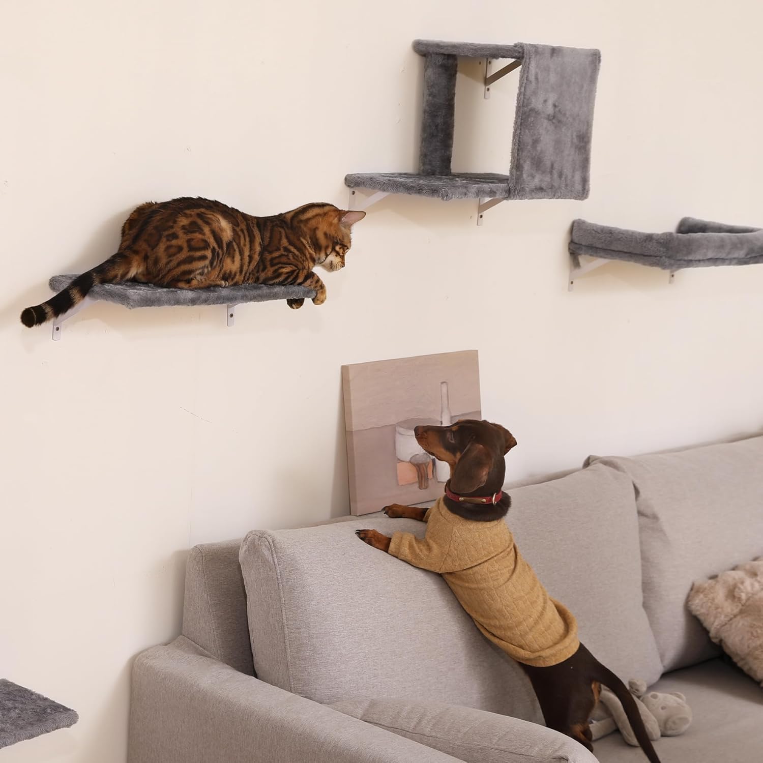 Thumbnail 6 de FUKUMARU Ensemble mur d'escalade pour chat : confort, sécurité et optimisation d'espace