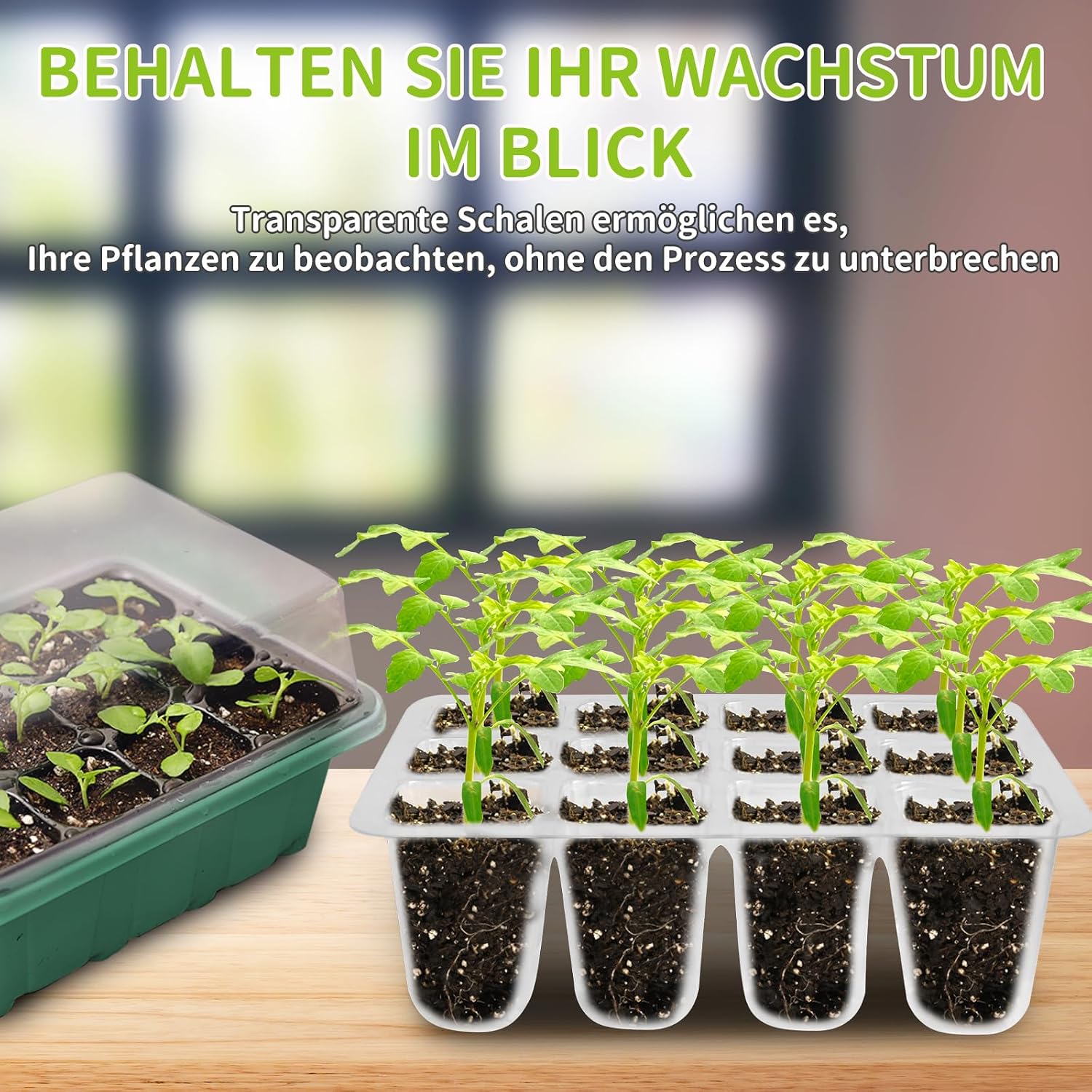 Thumbnail 6 de NAMOTEK Anzucht-Station 5-teilig inkl. Wärmematte & Abdeckhauben – Keimungsset für bis zu 60 Zellen