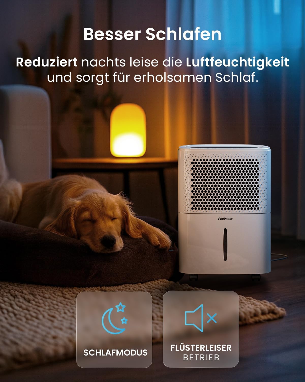 Detalle 1 de Pro Breeze Eco Kompakt Luftentfeuchter 12L/Tag