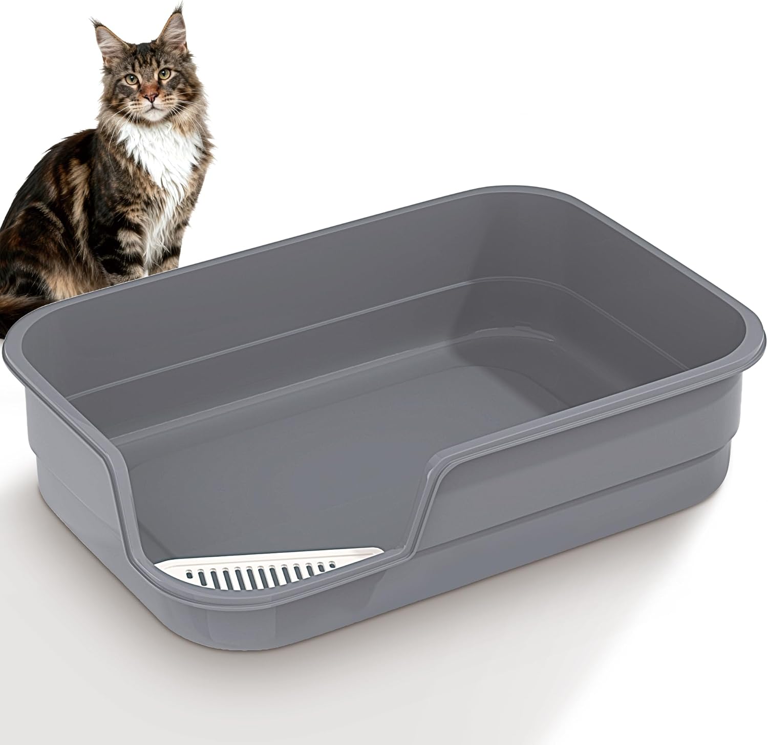 Vealind Extra Large Cat Litter Tray with High Sides and Low Entrance (60 x 40 x 15 cm)