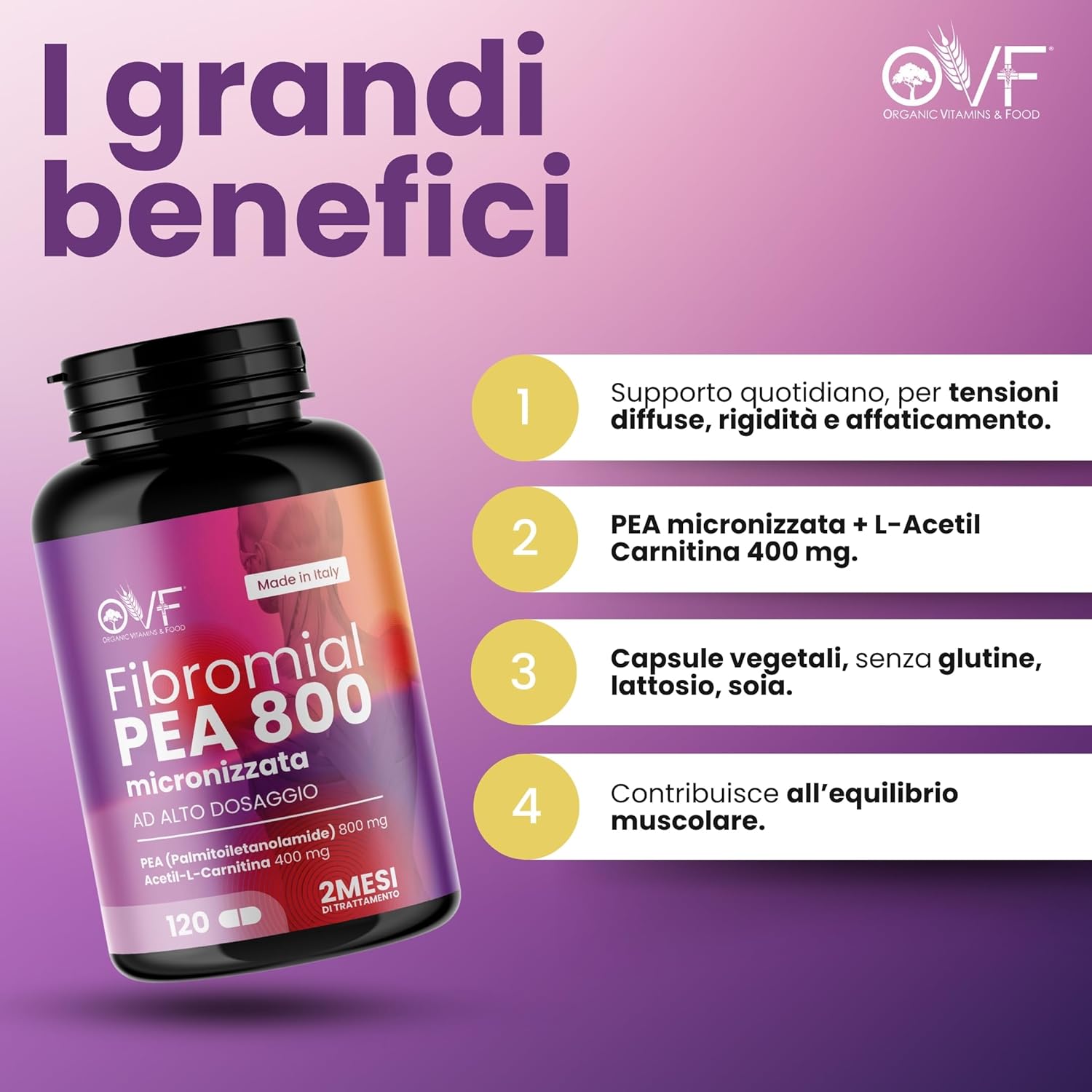 Detalle 2 de OVF Fibromial PEA 800 120cps – Integrazione naturale per benessere di nervi e muscoli