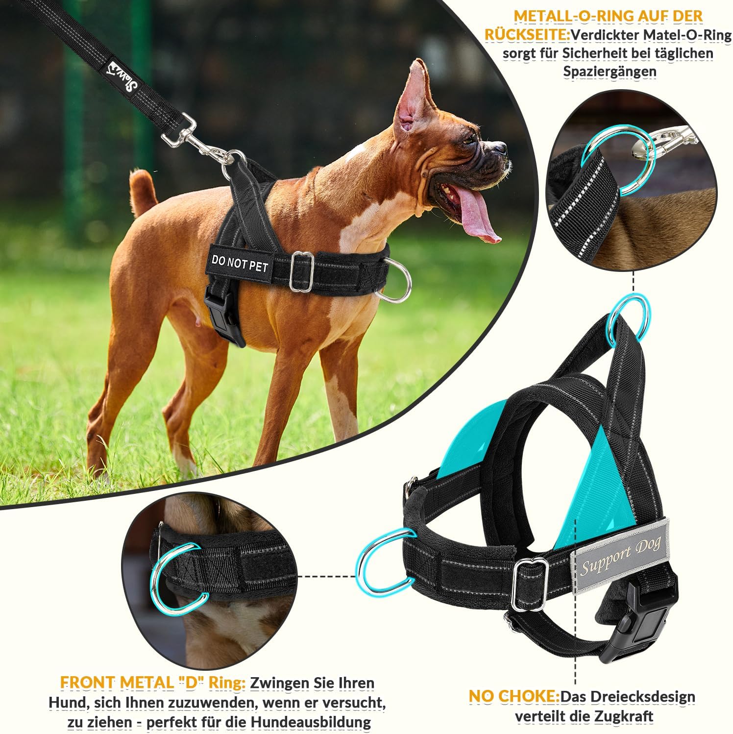 Thumbnail 2 de Eyein Hundegeschirr mit Leine (L) – weich gepolsterter Anti-Zug-Brustgurt mit 2 Leinenclips, reflektierend
