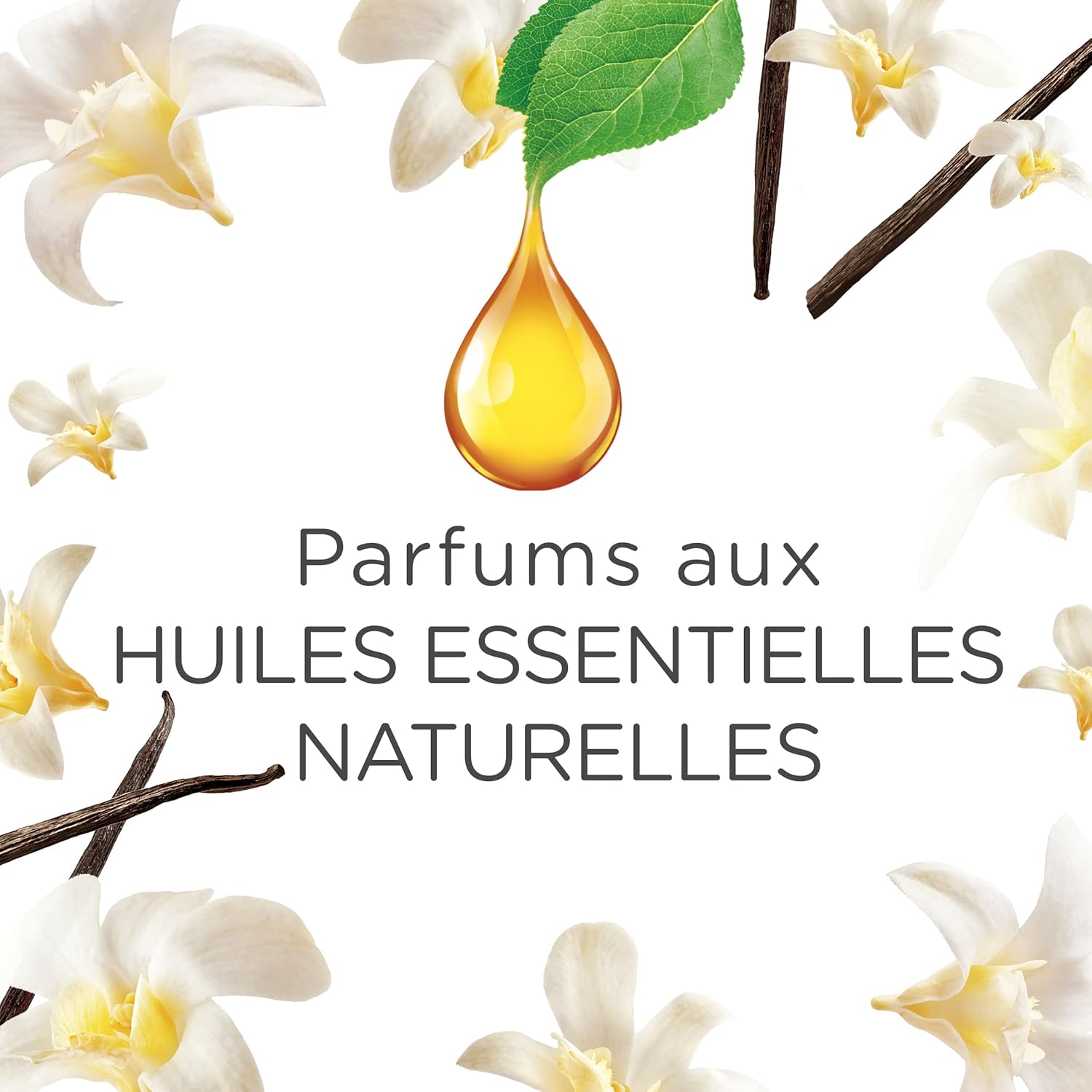 Thumbnail 3 de Air Wick Ambientador Eléctrico Vainilla y Orquídea 🌸, 3 recambios