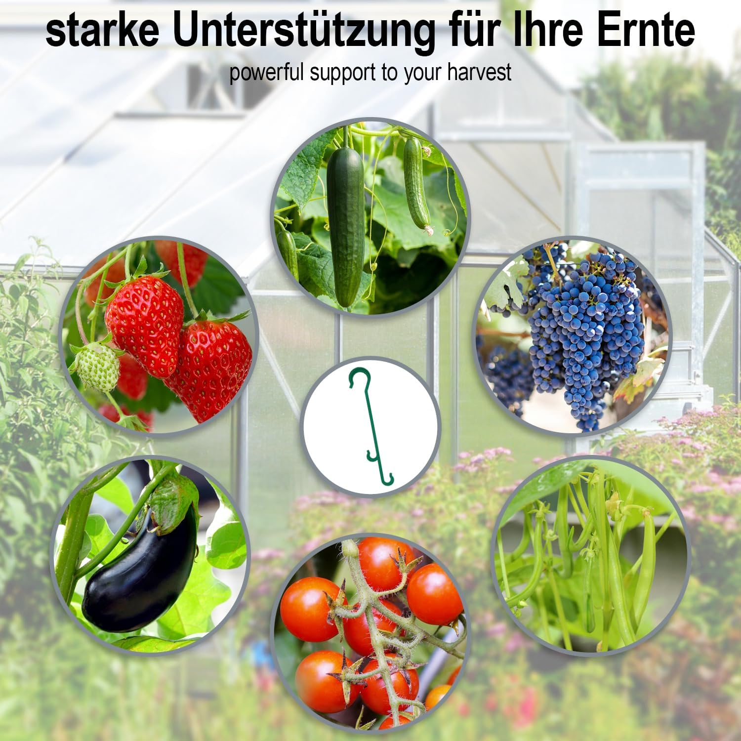 Thumbnail 3 de COM-FOUR® 120 morsetti per piante di pomodoro con ganci verdi