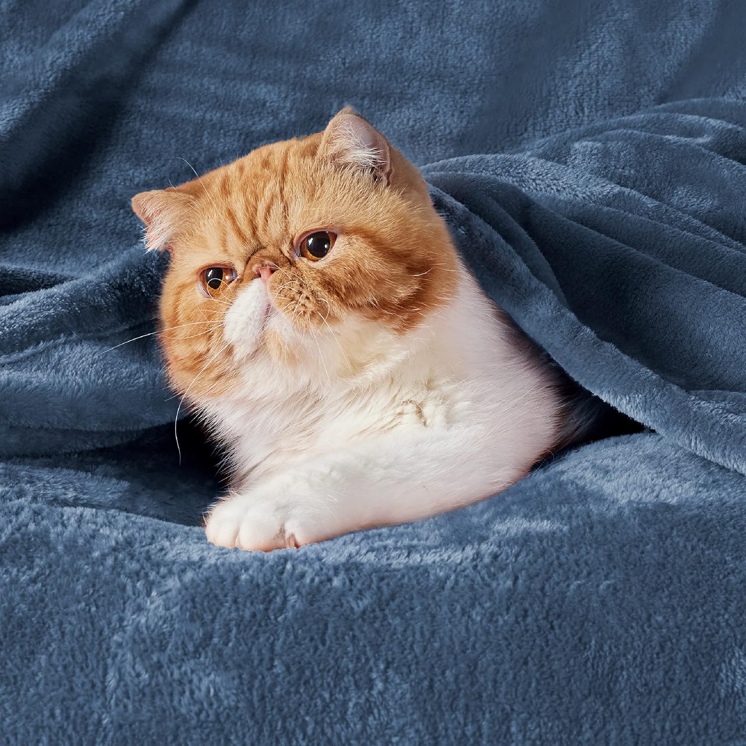 Thumbnail 1 de BEDSURE Kuscheldecke 150x200 cm Grau Blau