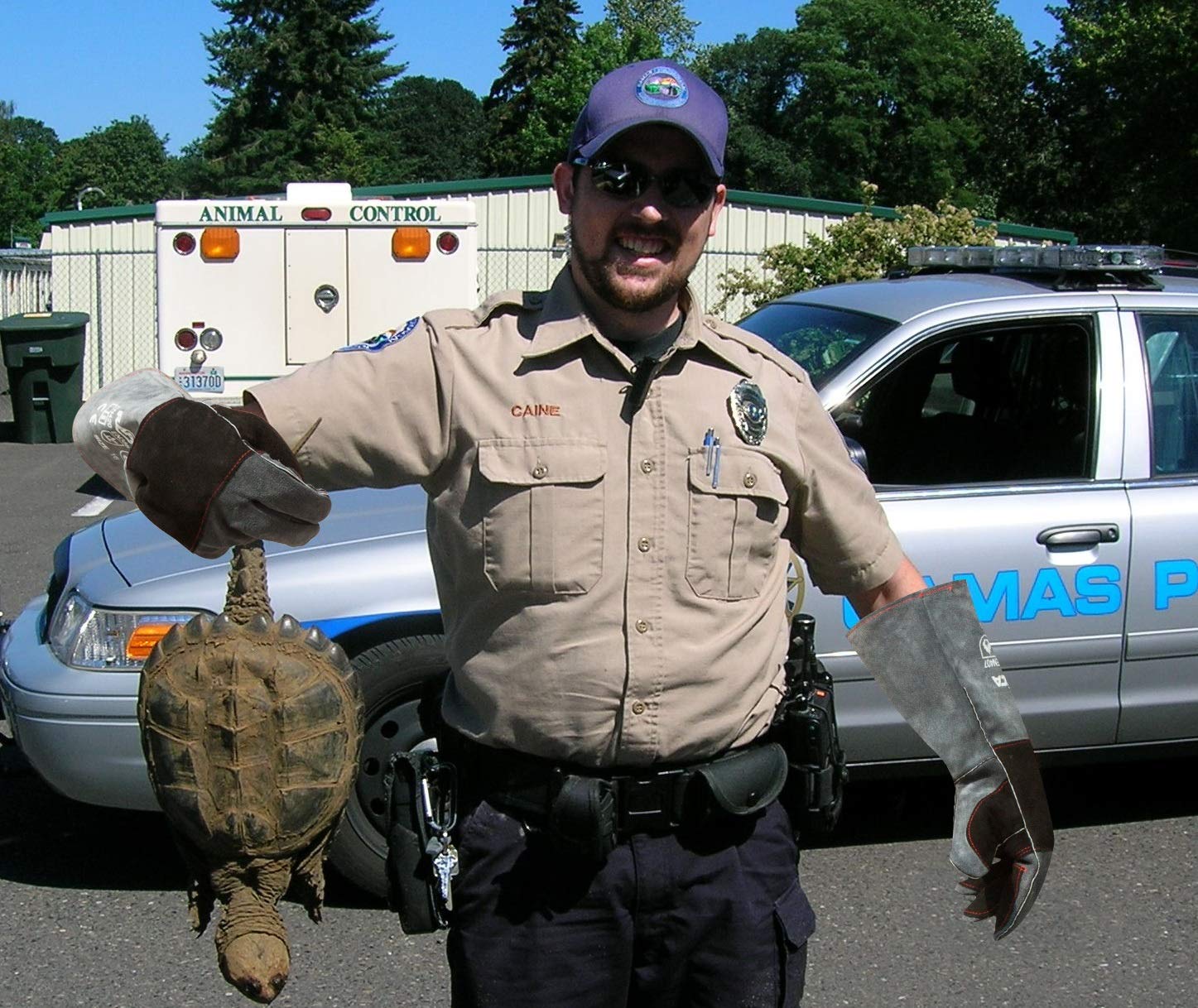 Thumbnail 3 de RAPICCA bite-proof animal handling gloves in reinforced leather (16in/40cm) for dogs, cats and bird/reptile handling