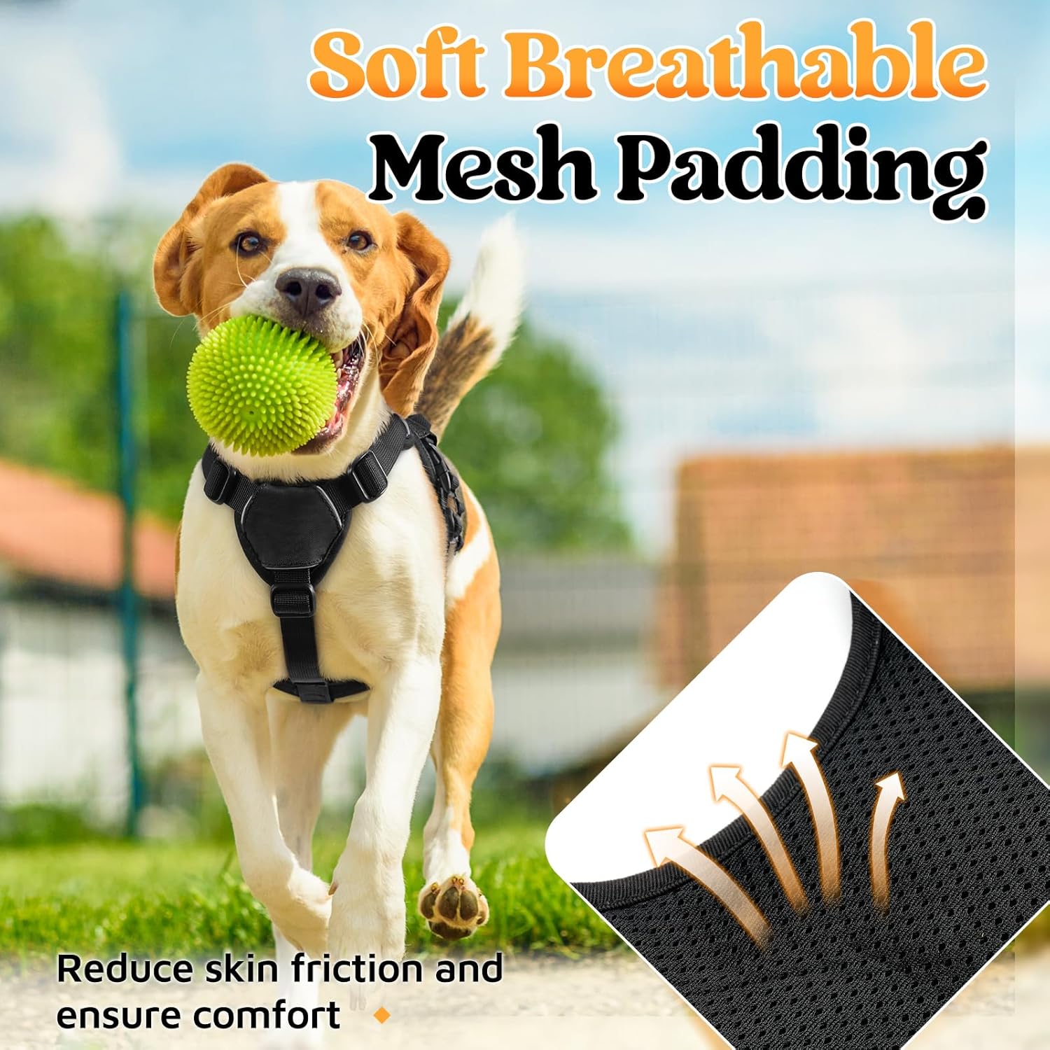 Thumbnail 6 de rabbitgoo Escape-Proof Dog Harness Small Dog with Handle (Size S) – Adjustable, Reflective & Breathable Vest-Style Harness, Black