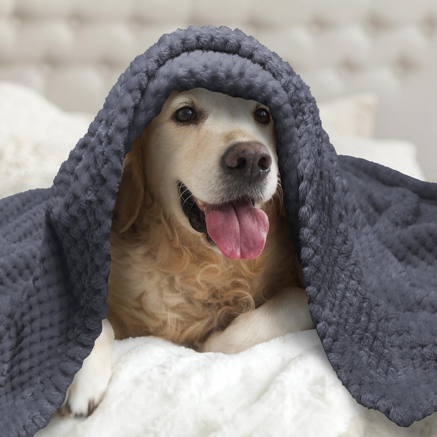 Thumbnail 4 de Nobleza Morbida coperta per cani 100x80