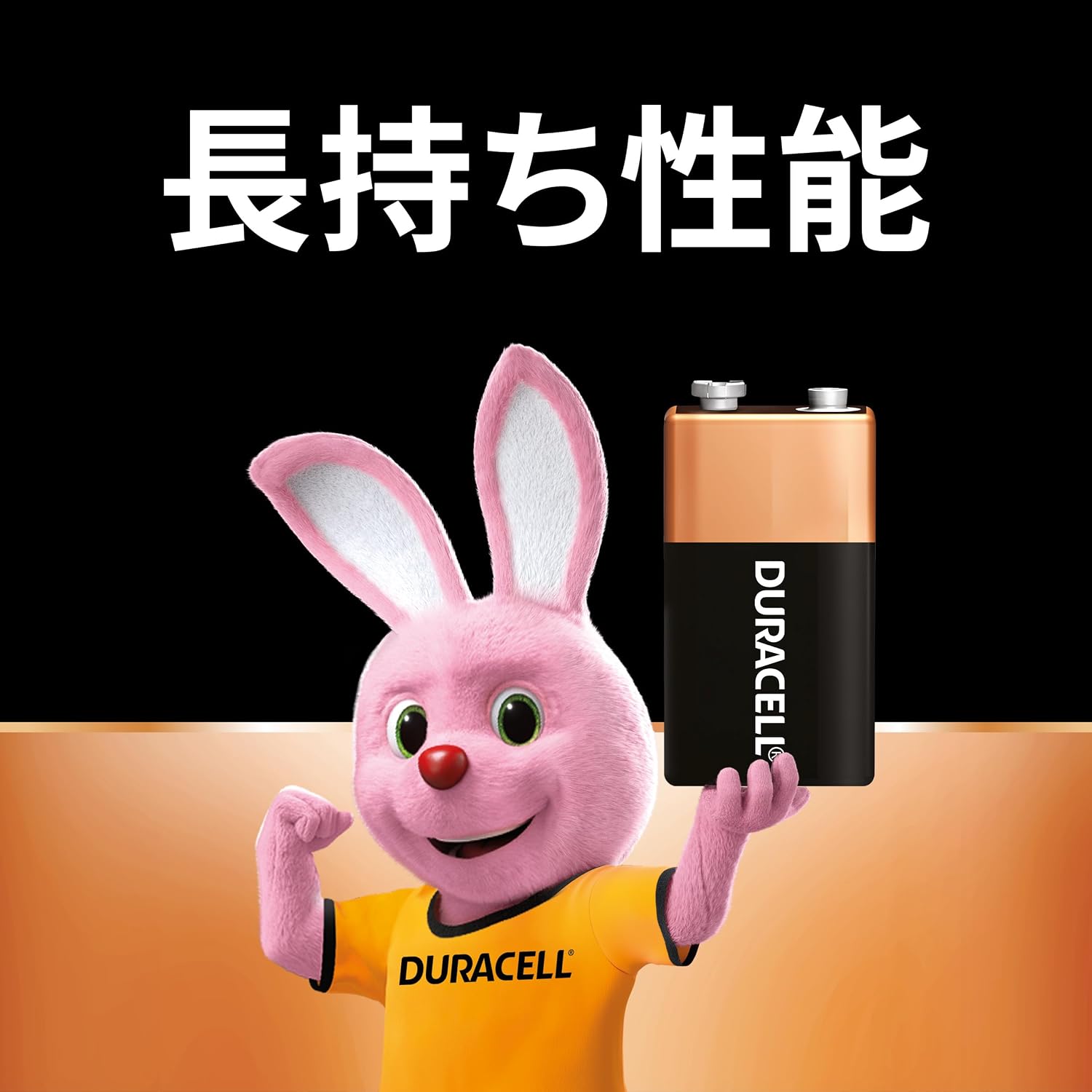 Detalle de Duracell メインライン 9V形アルカリ乾電池 1本入り、5年保存・液もれ防止設計