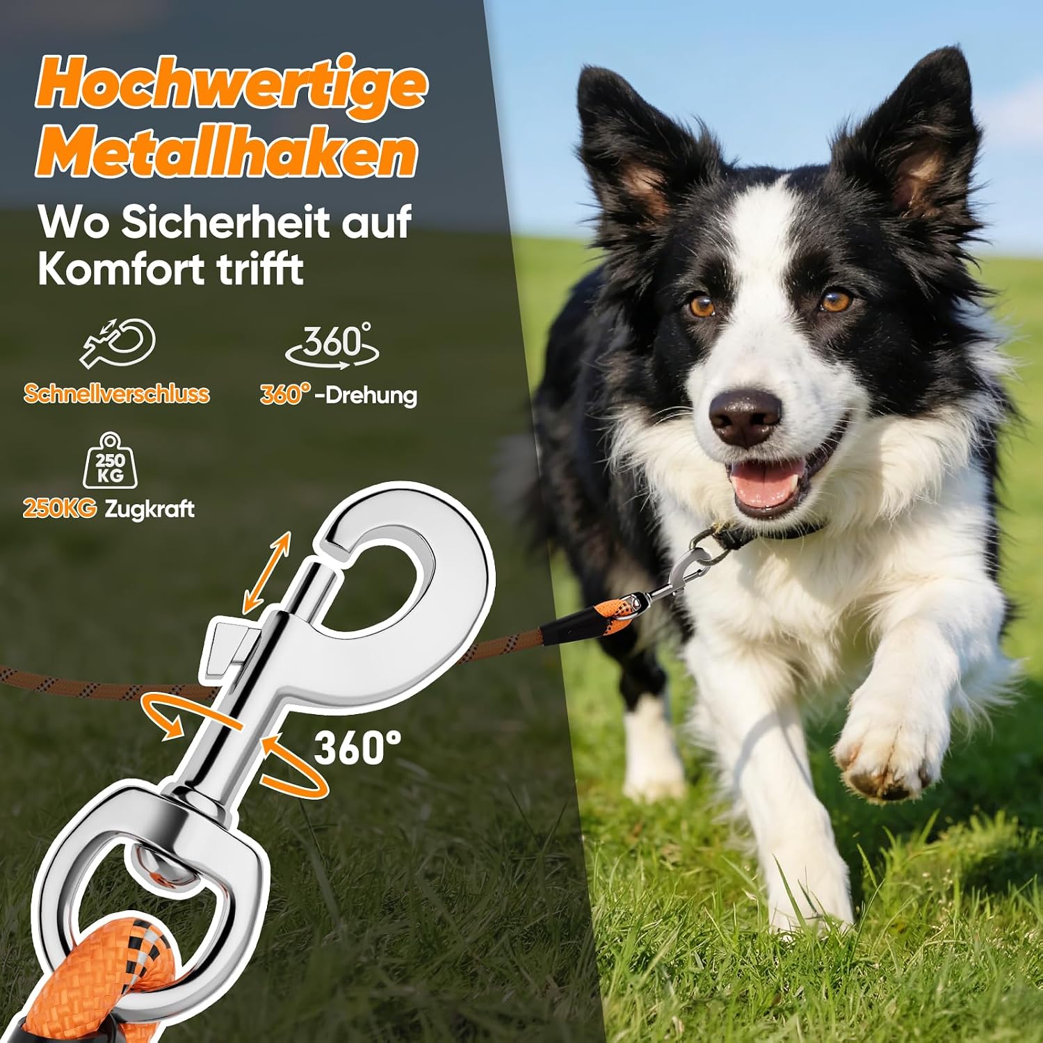Thumbnail 5 de Aystkniet Schleppleine 10M für Hunde