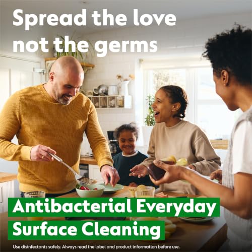 Detalle de Dettol Cleansing Surface Biodegradable Wipes, No Odour (4 x 110) 440