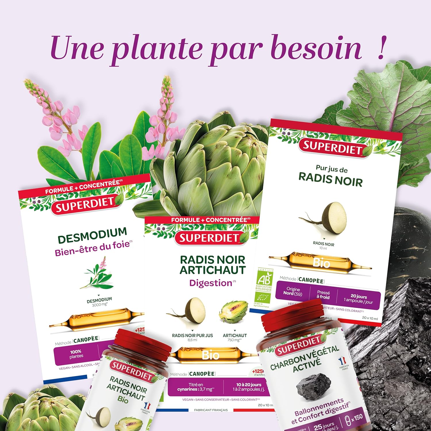 Thumbnail 6 de SUPERDIET-QUATUOR DIGESTION BIO - Bien-être du foie, Radis noir Artichaut Chardon Marie Romarin (20 ampoules)