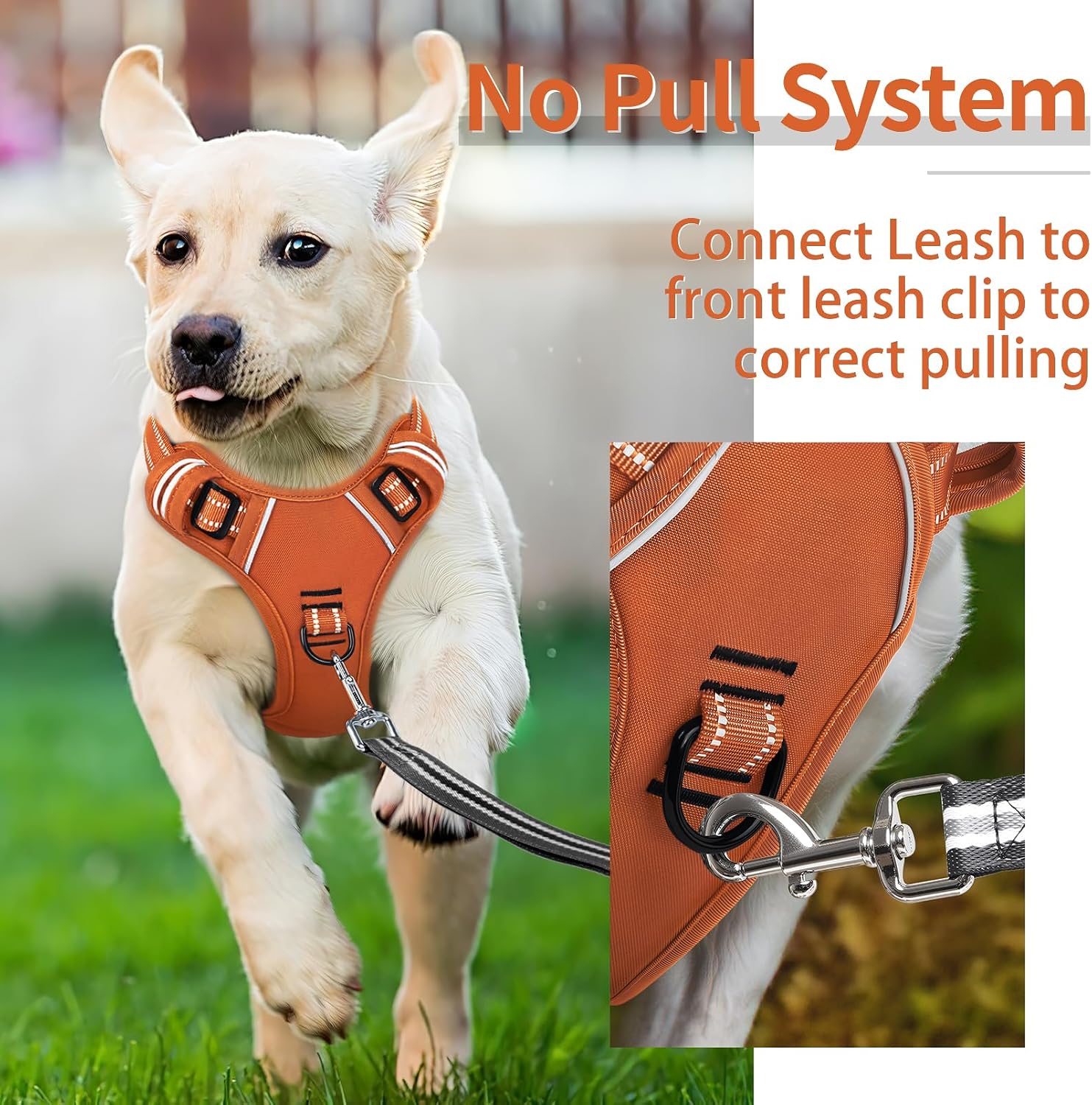 Thumbnail 4 de HEELE Dog Harness for Medium Dogs No Pull Vest Harness with Soft Padded Handle, Reflective, Pumpkin Orange, Size M