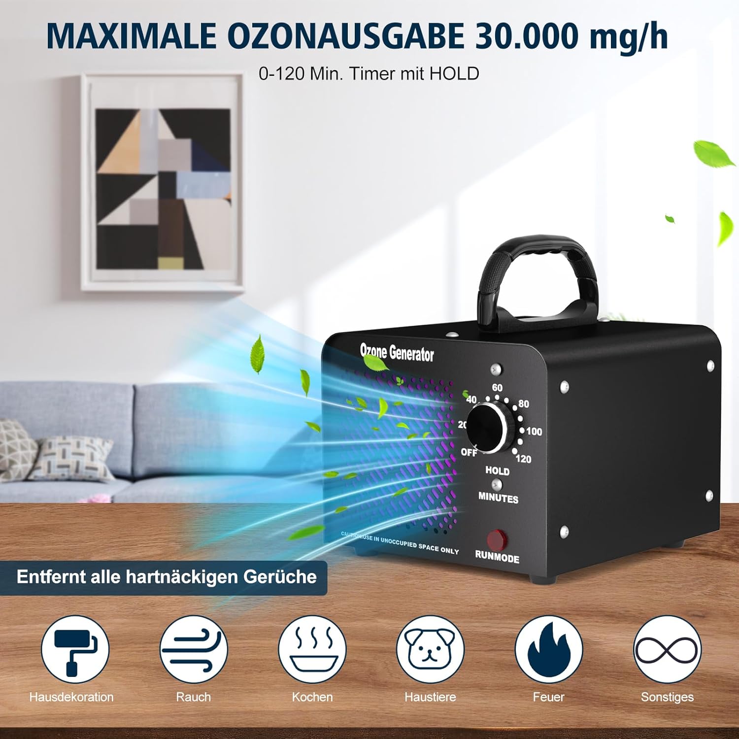 Detalle 2 de Fwiull Generador de Ozono 30000 mg/h industrial