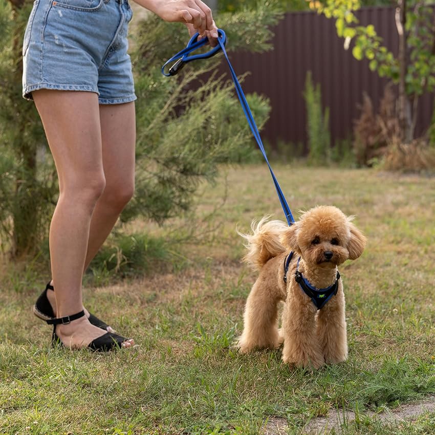 Detalle de Ferplast ERGOCOMFORT Arnés Perro Pequeño 🐶 Ajustable y Acolchado
