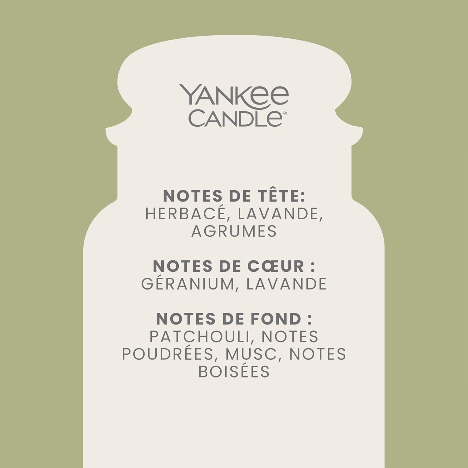 Thumbnail 2 de Yankee Candle Bougie parfumée Sauge & Agrumes Grand Pot – longue durée, 150 heures