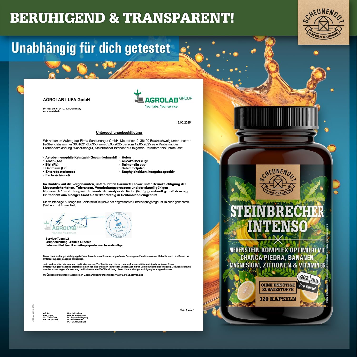 Thumbnail 6 de STEINBRECHER INTENSO® Chanca Piedra Kapseln (DE SCHEUNENGUT®) – 120 Kapseln