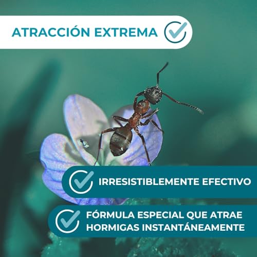 Thumbnail 3 de ANTICIMEX Pack 2 Gel Mata Hormigas 10 g: gel mata hormigas para interior y exterior, con aplicador de precisión