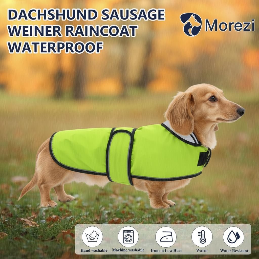 Detalle 2 de Morezi Dachshund raincoat (light green) with reflective stripe, waterproof fit for long-back breeds