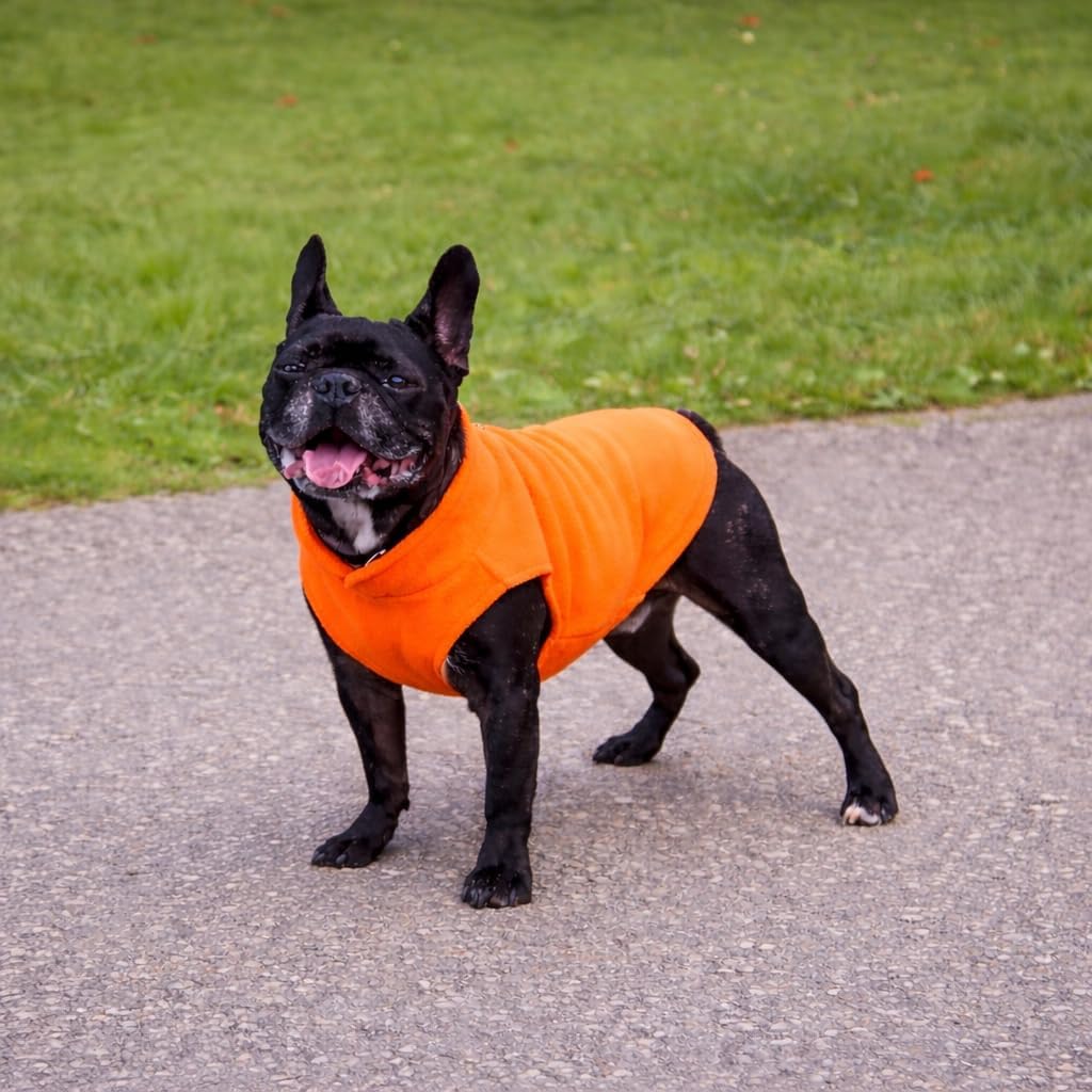 Thumbnail 1 de JACKO & CO Fleece Vest Dog Sweater with Leash Ring (Orange, XL) – Soft, Lightweight Coat for Small to Medium Pets