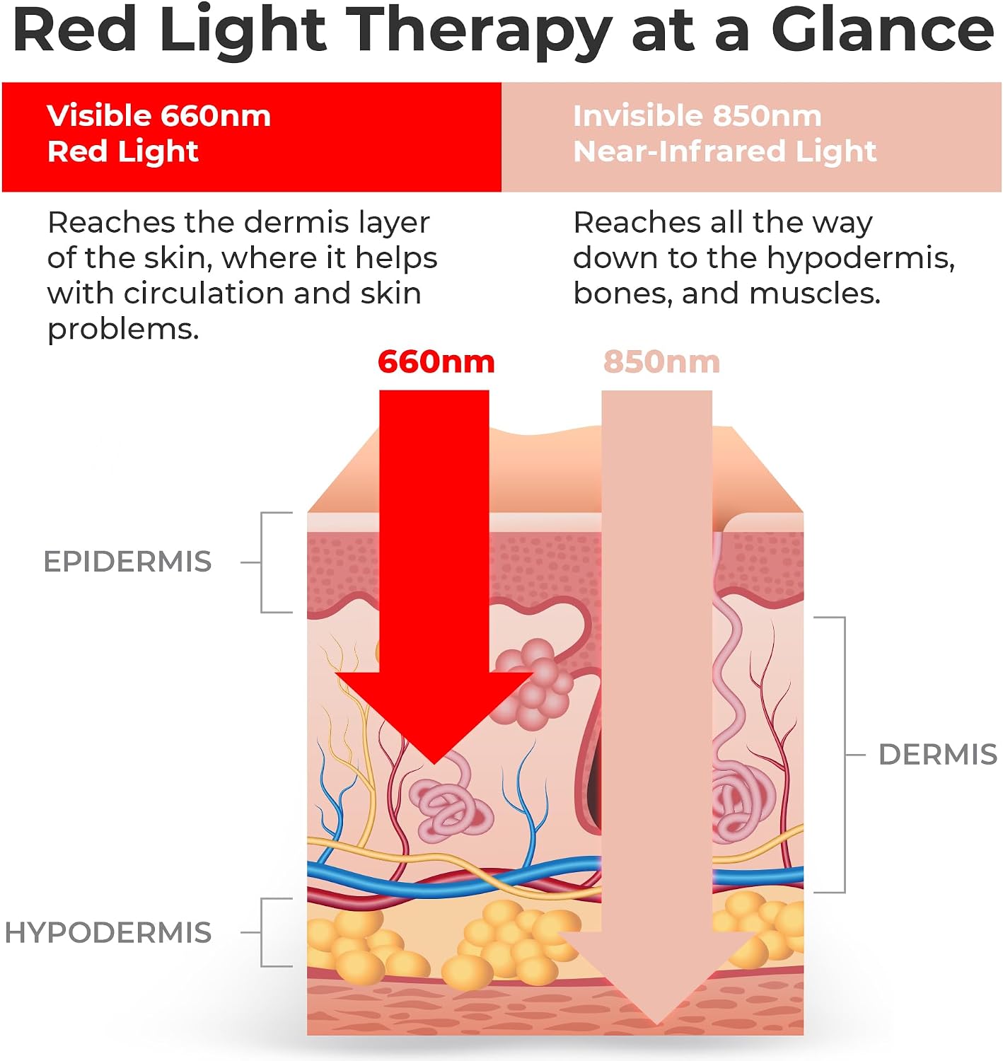 Thumbnail 3 de LifePro Red Light Therapy Lamp