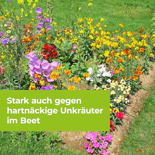Detalle de PROTECT GARDEN Permaclean Duo Unkrautvernichter, 1000 ml Konzentrat – Zweifach-Wirksystem gegen Unkraut, Algen und Moose