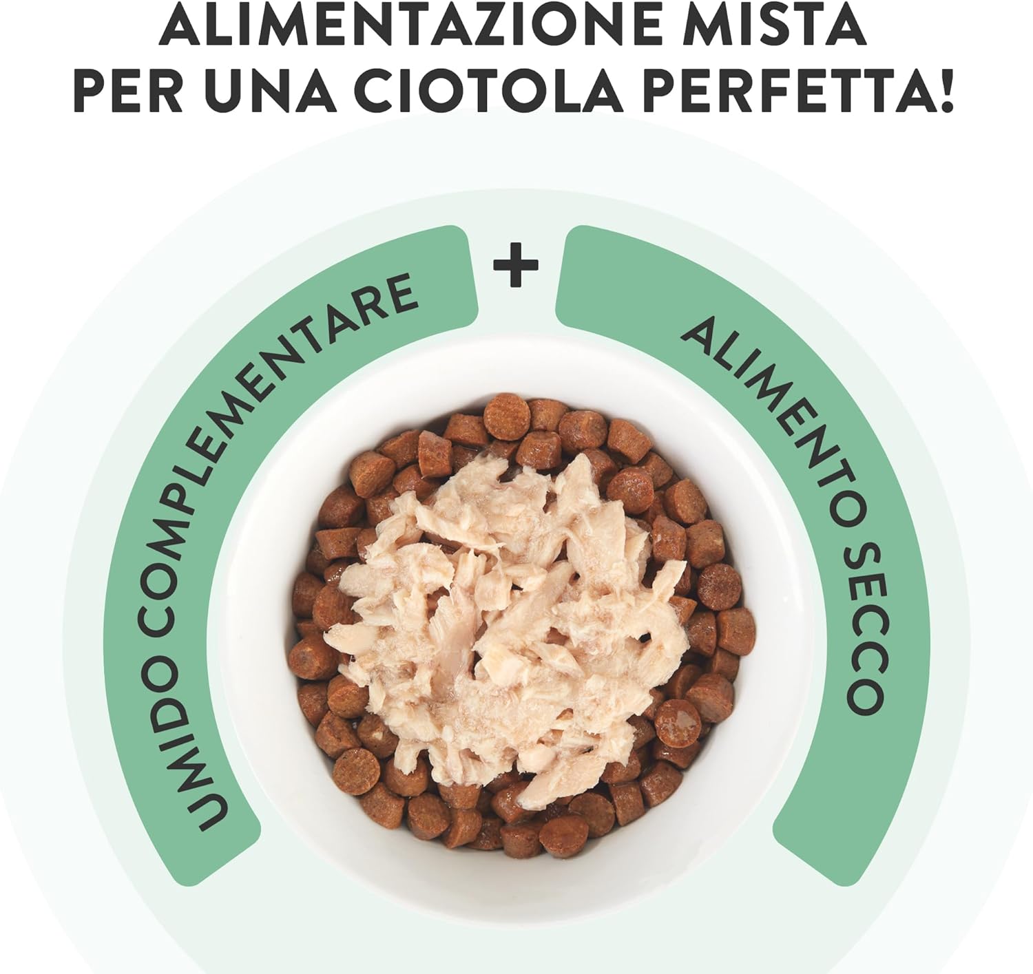 Thumbnail 5 de Schesir Filetti di Pollo con Manzo in brodo – Filetti naturali per gatti, 12 lattine da 70 g
