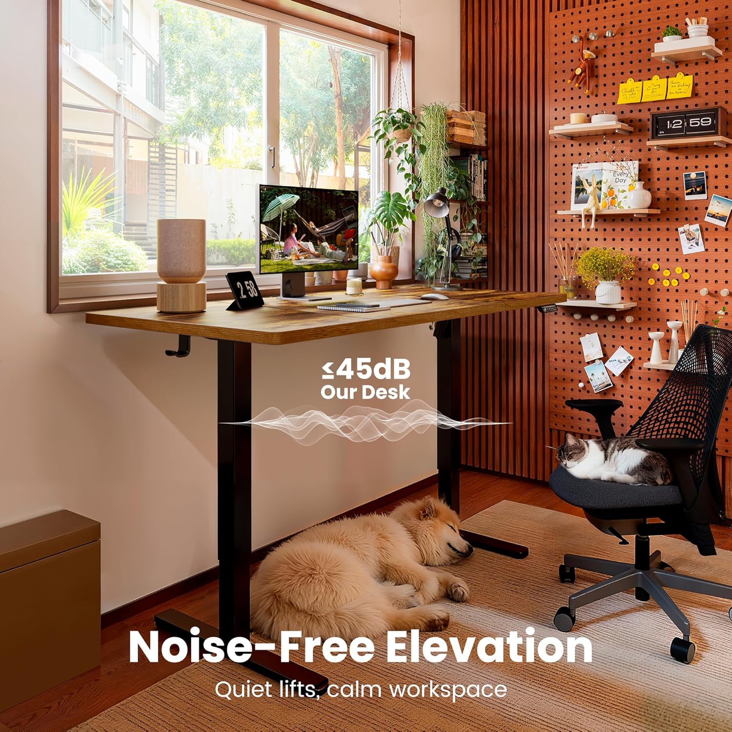 Thumbnail 3 de ErGear Electric Standing Desk 120 x 60 cm with 4 Memory Presets