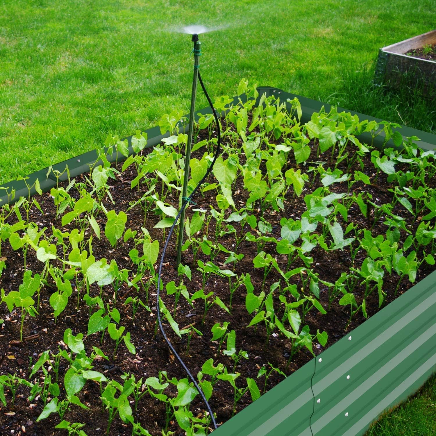 Thumbnail 6 de Ohuhu GRB-12 6×3×1 FT Green Raised Garden Bed, Reinforced Galvanized Steel