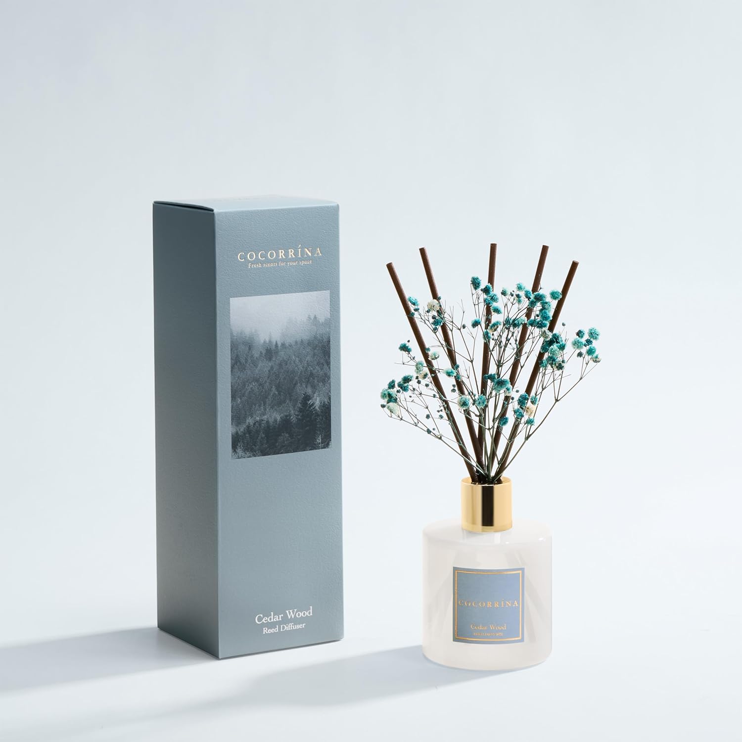 Thumbnail 1 de COCORRÍNA Raumduft Reed Diffuser mit 8 Duftstäbchen (200 ml) Cedar Wood