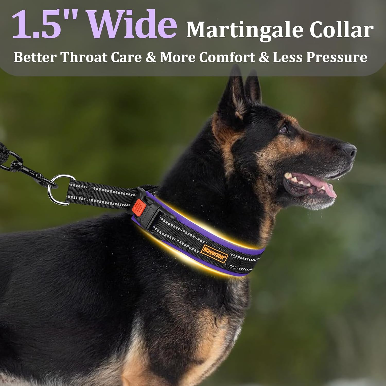 Thumbnail 6 de Mayerzon 3.8cm Wide Martingale Collar for Dogs (Large, Medium & Small) – Reflective, No-Pull with Buckle