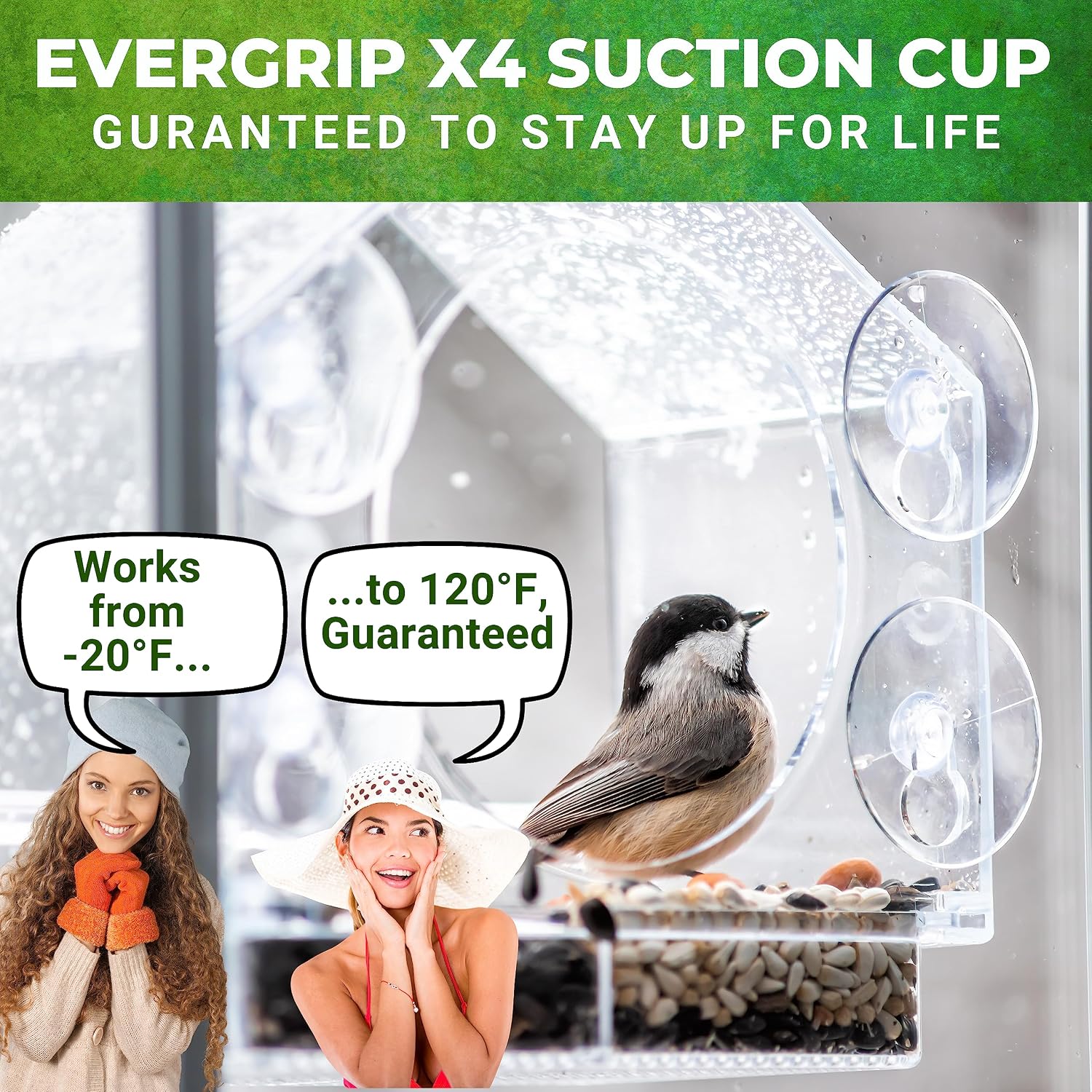 Detalle de Nature Anywhere 2022 Window Bird Feeder with Sliding Tray and 4 Suction Cups