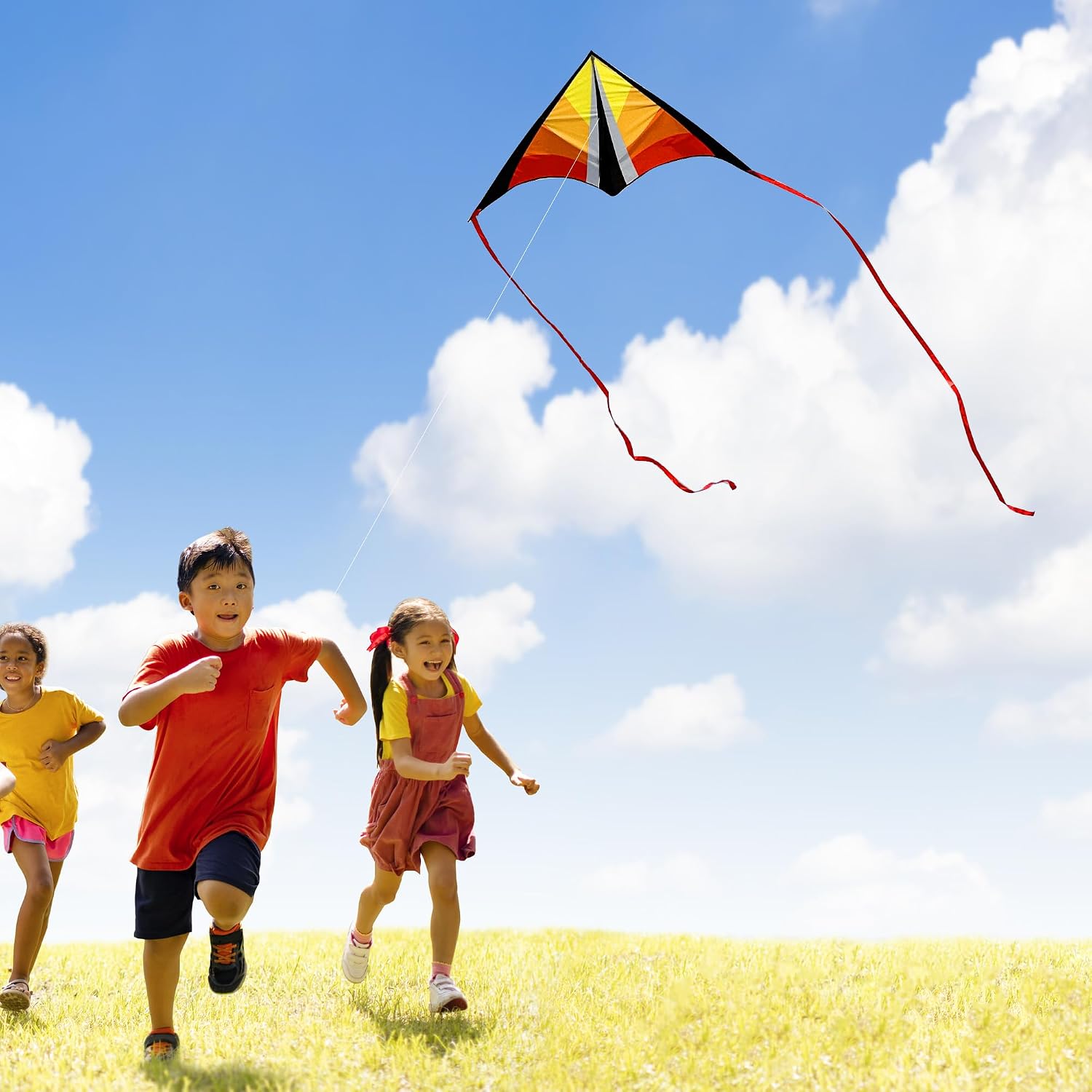 Detalle 2 de Larilook Delta Kite Easy to Fly