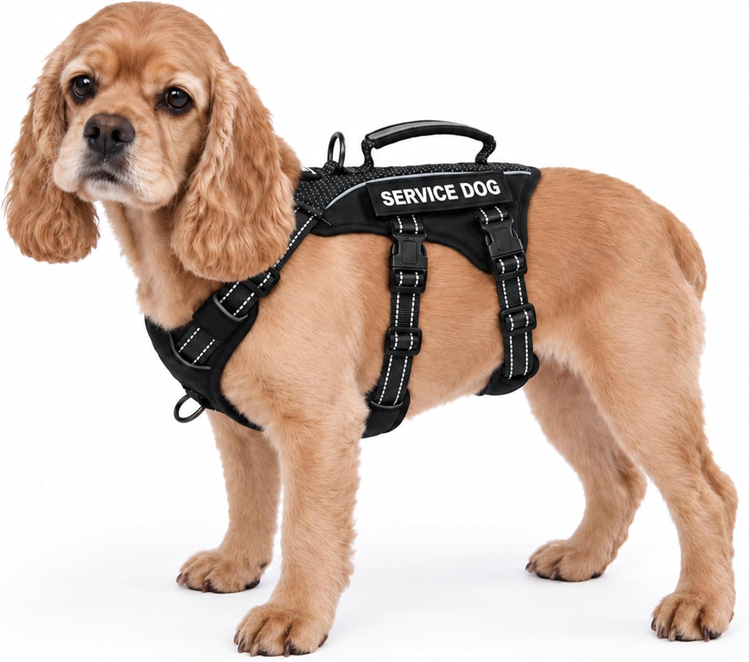 Detalle de Huntboo Dog Harness, M