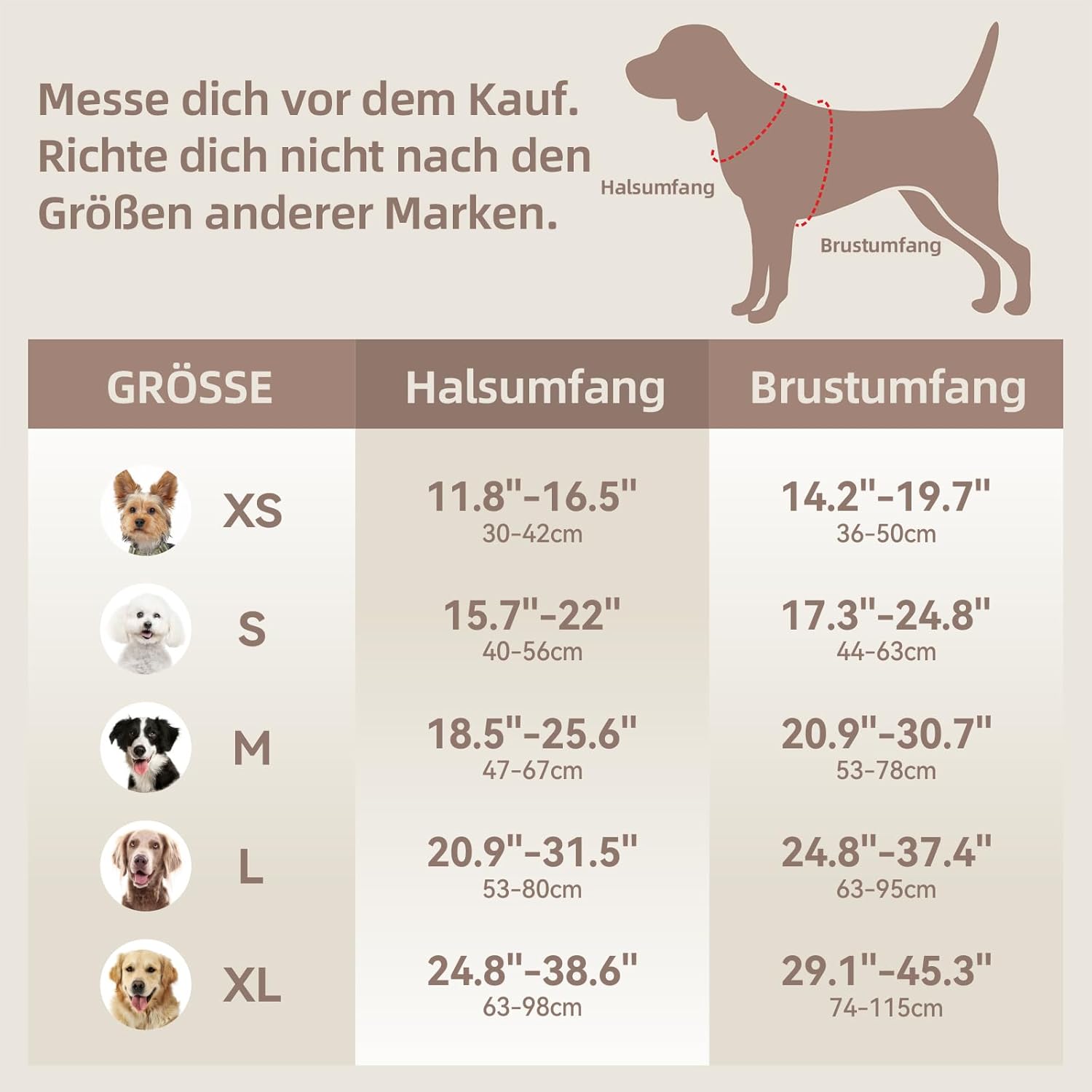 Thumbnail 2 de Sunraymascota Hundegeschirr mit weicher Lycra-Polsterung und Mesh-Komfort (Preußisch Blau, XS)